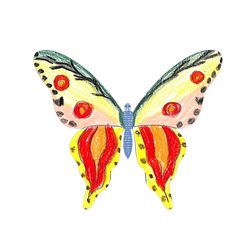 Original Butterfly Image