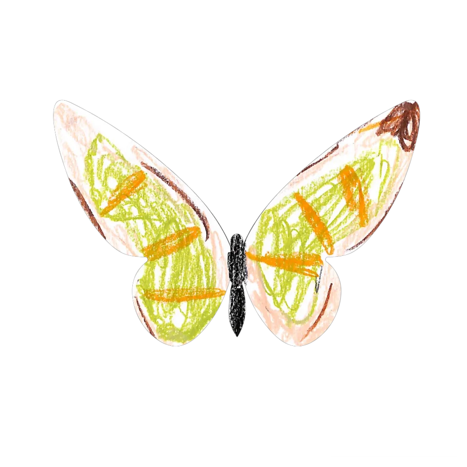 Original Butterfly Image