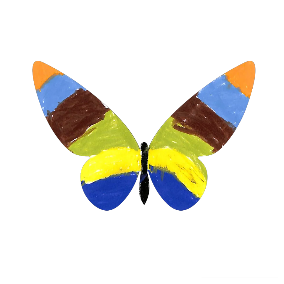 Original Butterfly Image