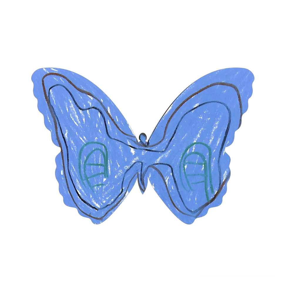 Original Butterfly Image