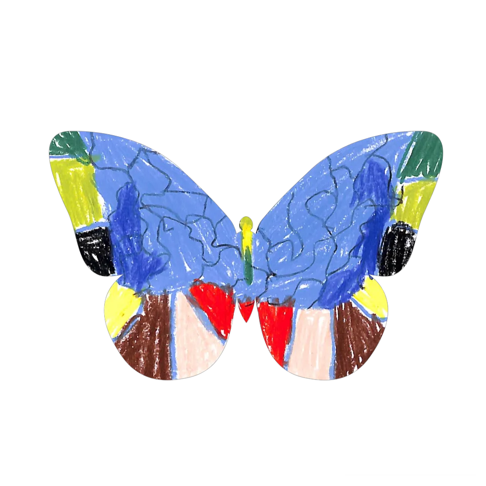 Original Butterfly Image