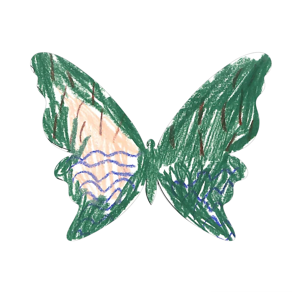Original Butterfly Image