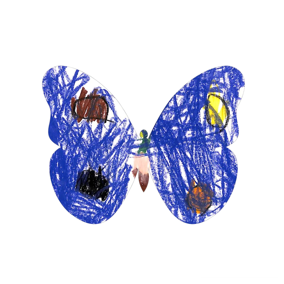 Original Butterfly Image