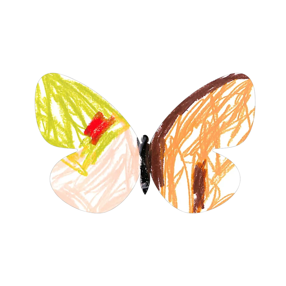 Original Butterfly Image