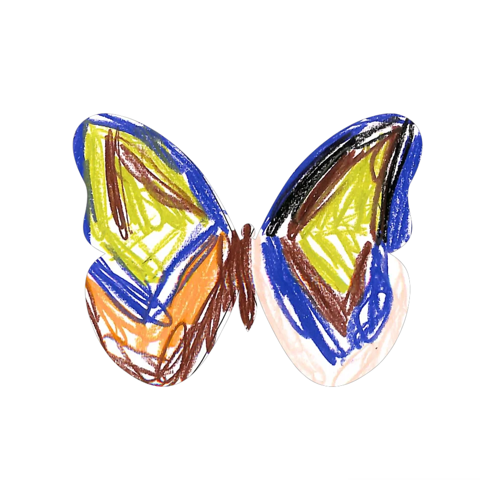 Original Butterfly Image