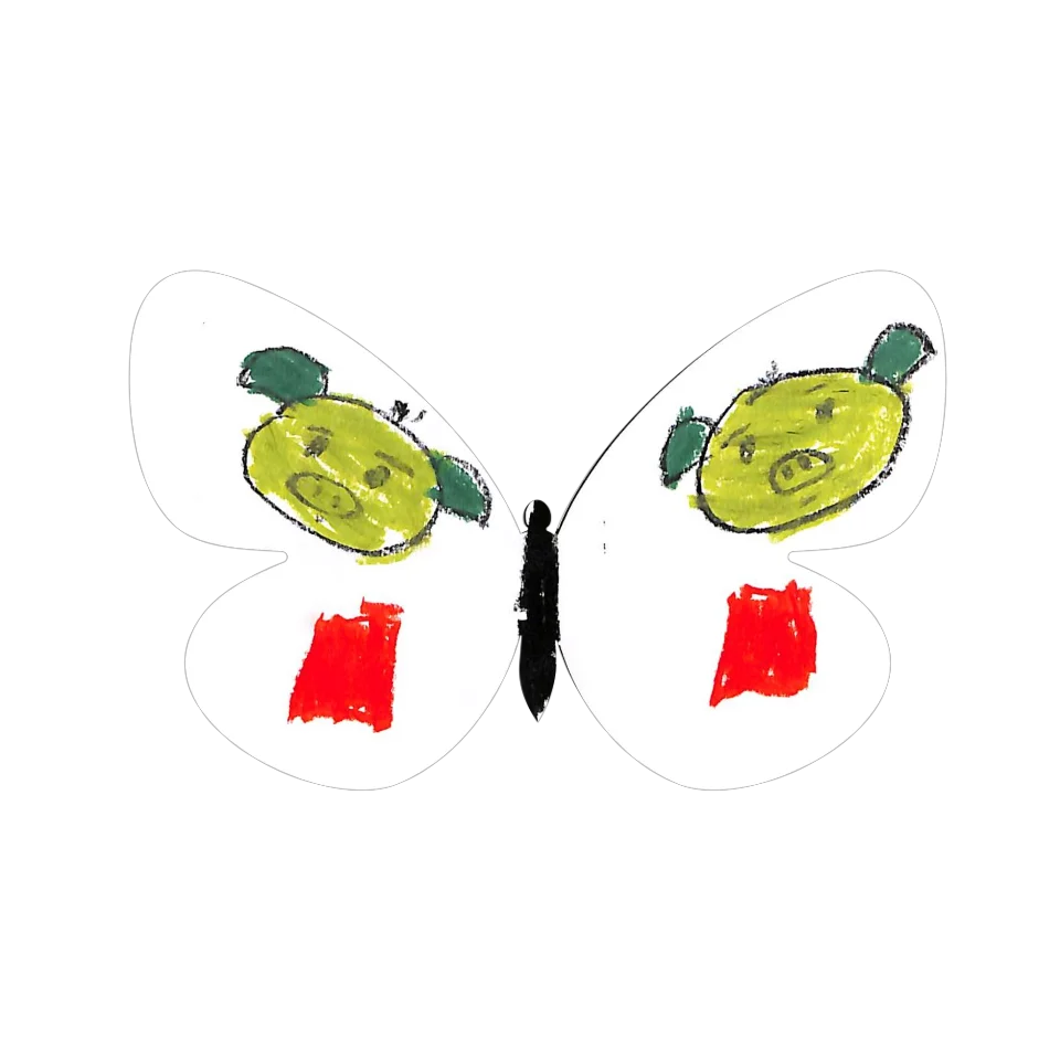Original Butterfly Image