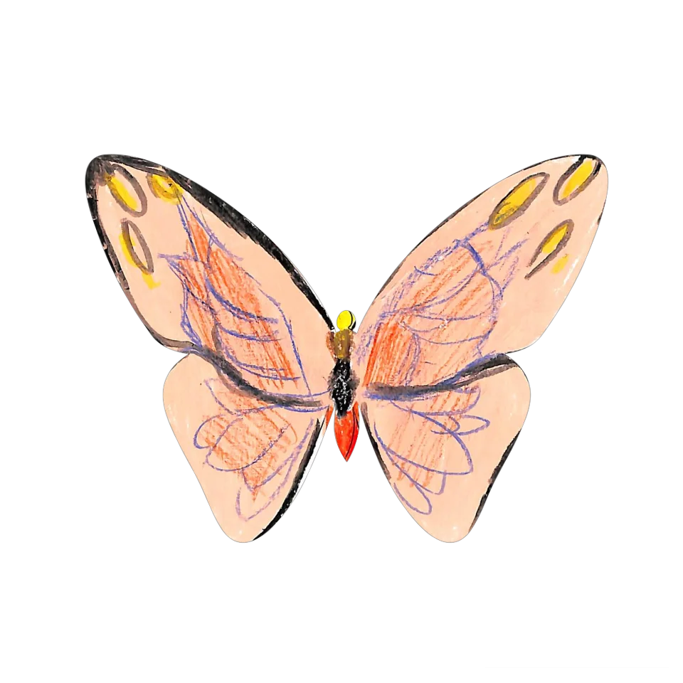 Original Butterfly Image