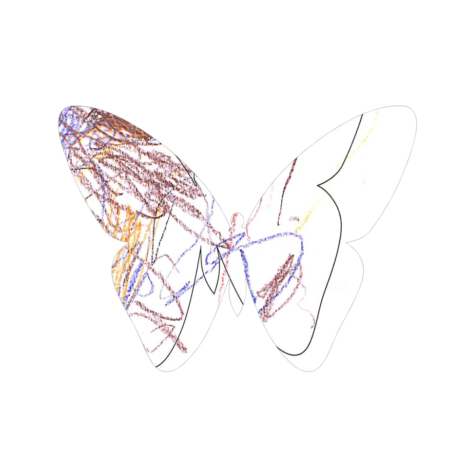 Original Butterfly Image