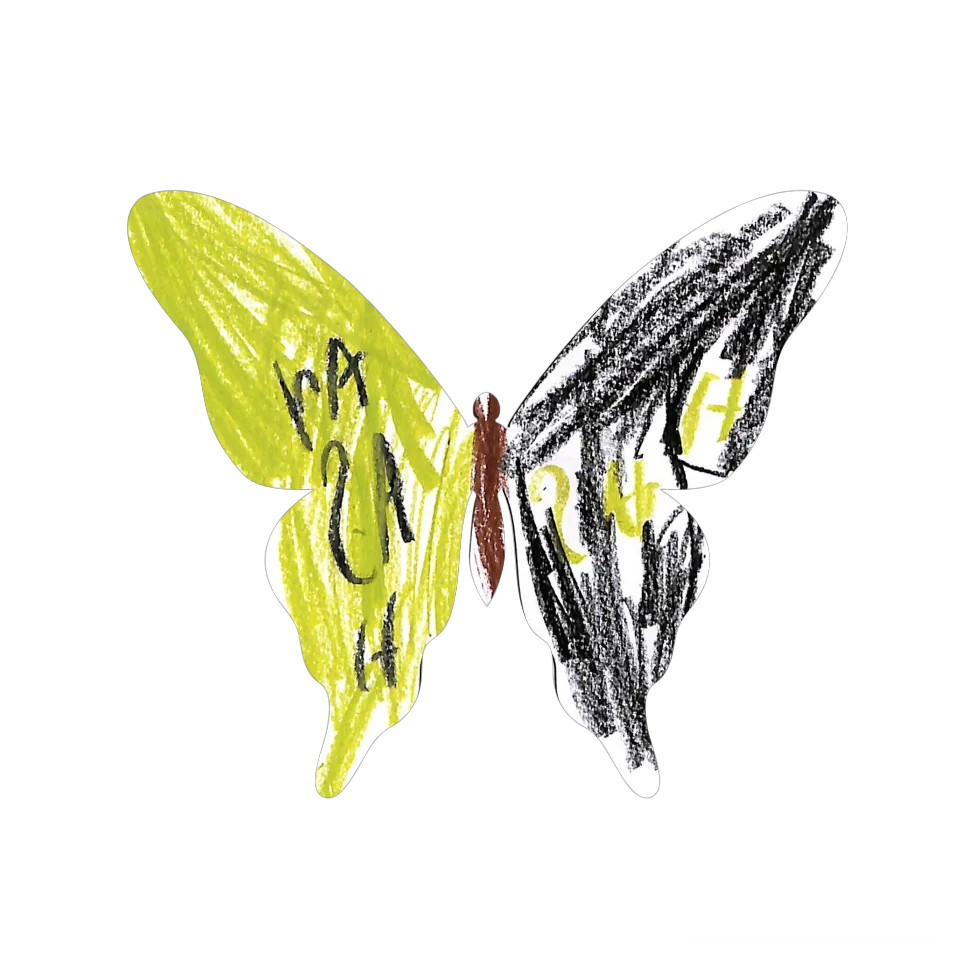 Original Butterfly Image