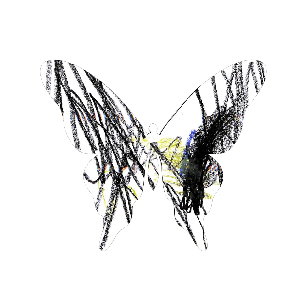 Original Butterfly Image