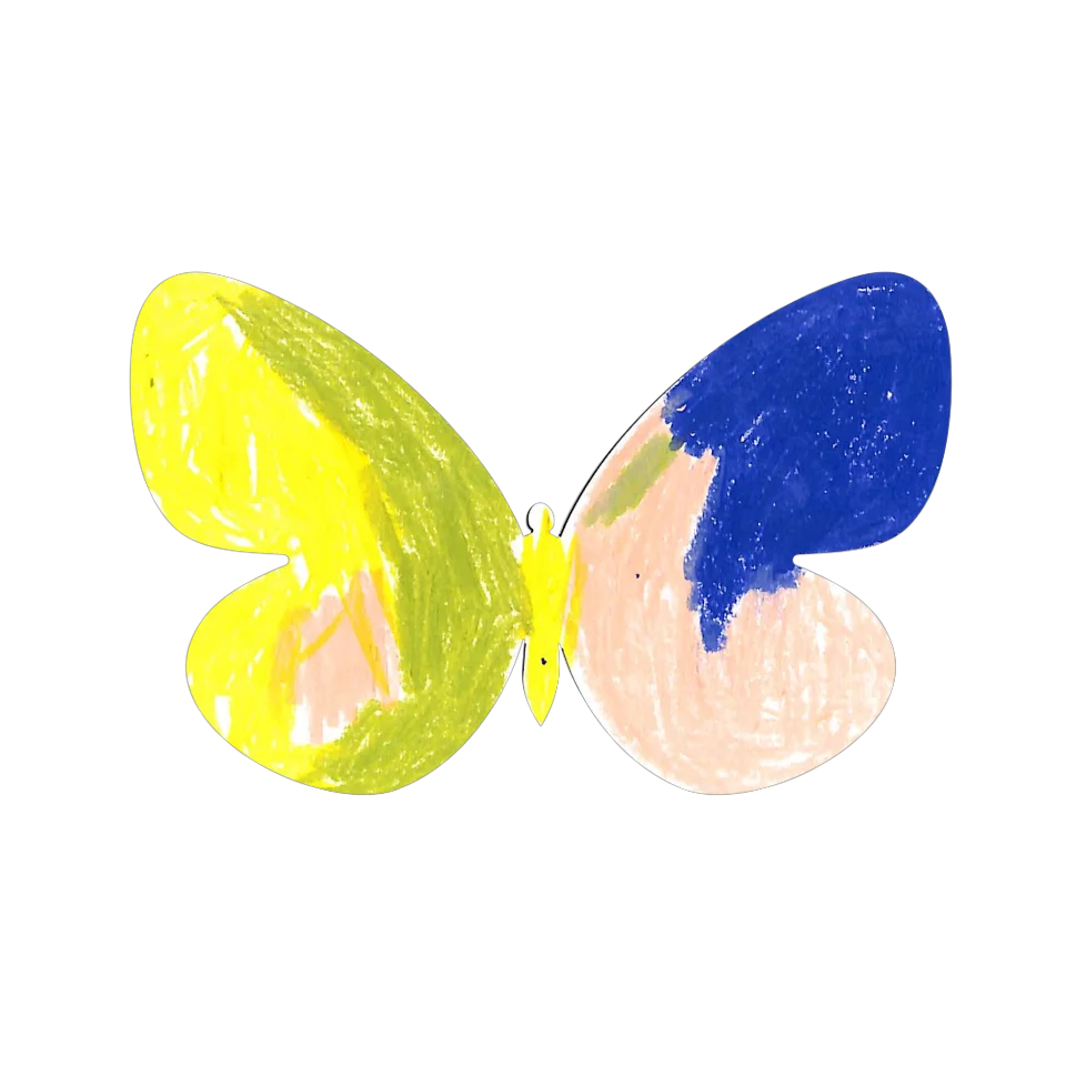 Original Butterfly Image