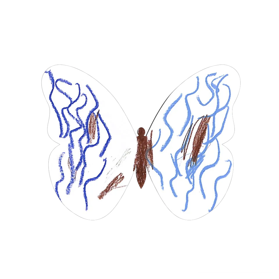 Original Butterfly Image