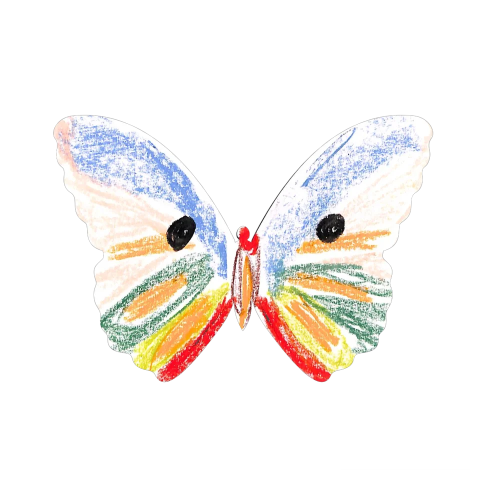 Original Butterfly Image