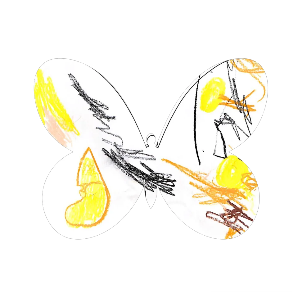 Original Butterfly Image