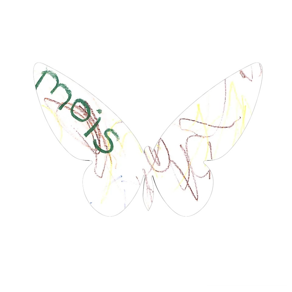 Original Butterfly Image