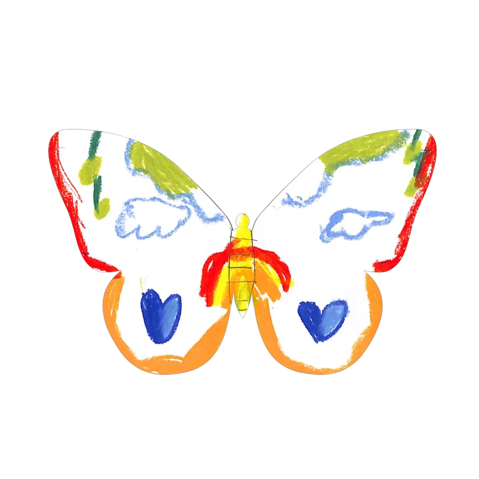 Original Butterfly Image
