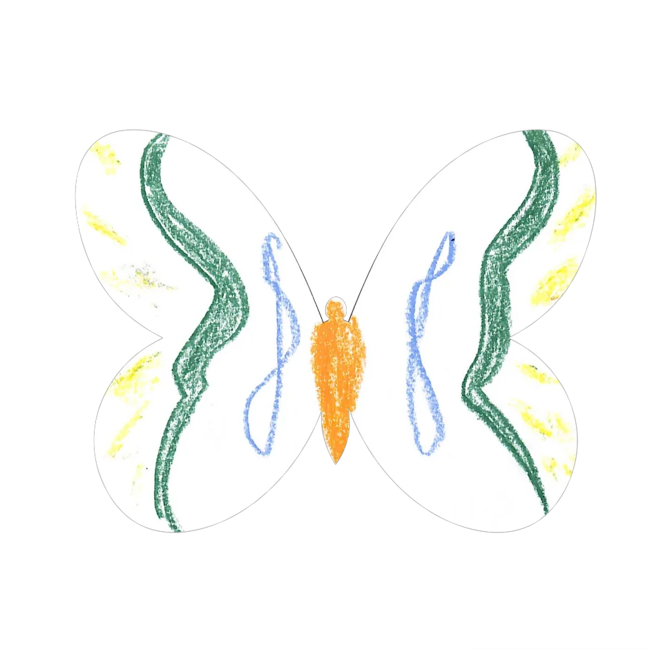 Original Butterfly Image