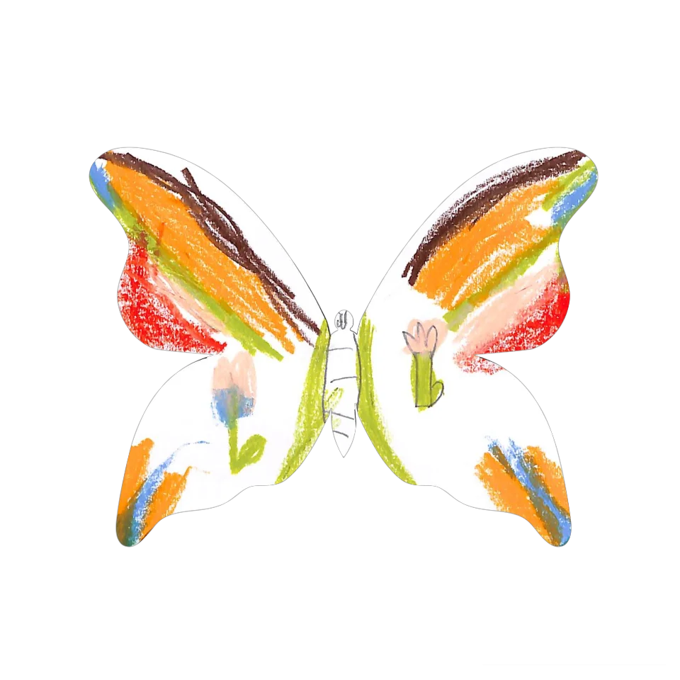 Original Butterfly Image