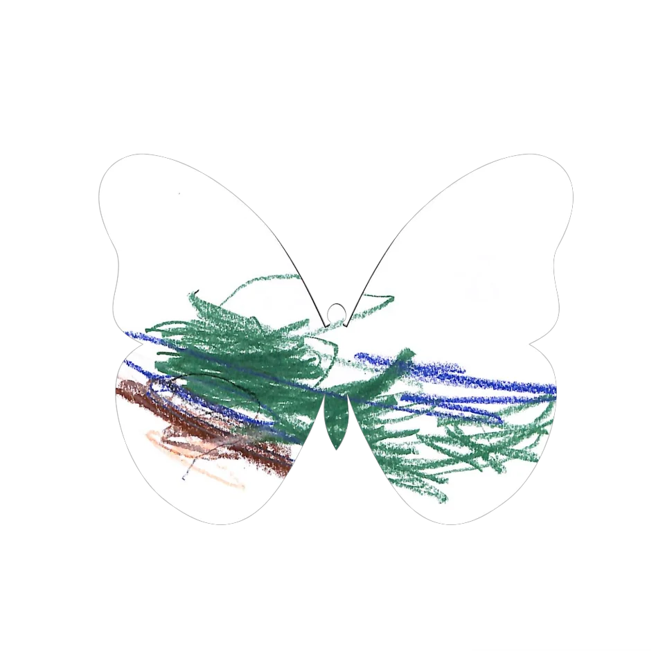 Original Butterfly Image