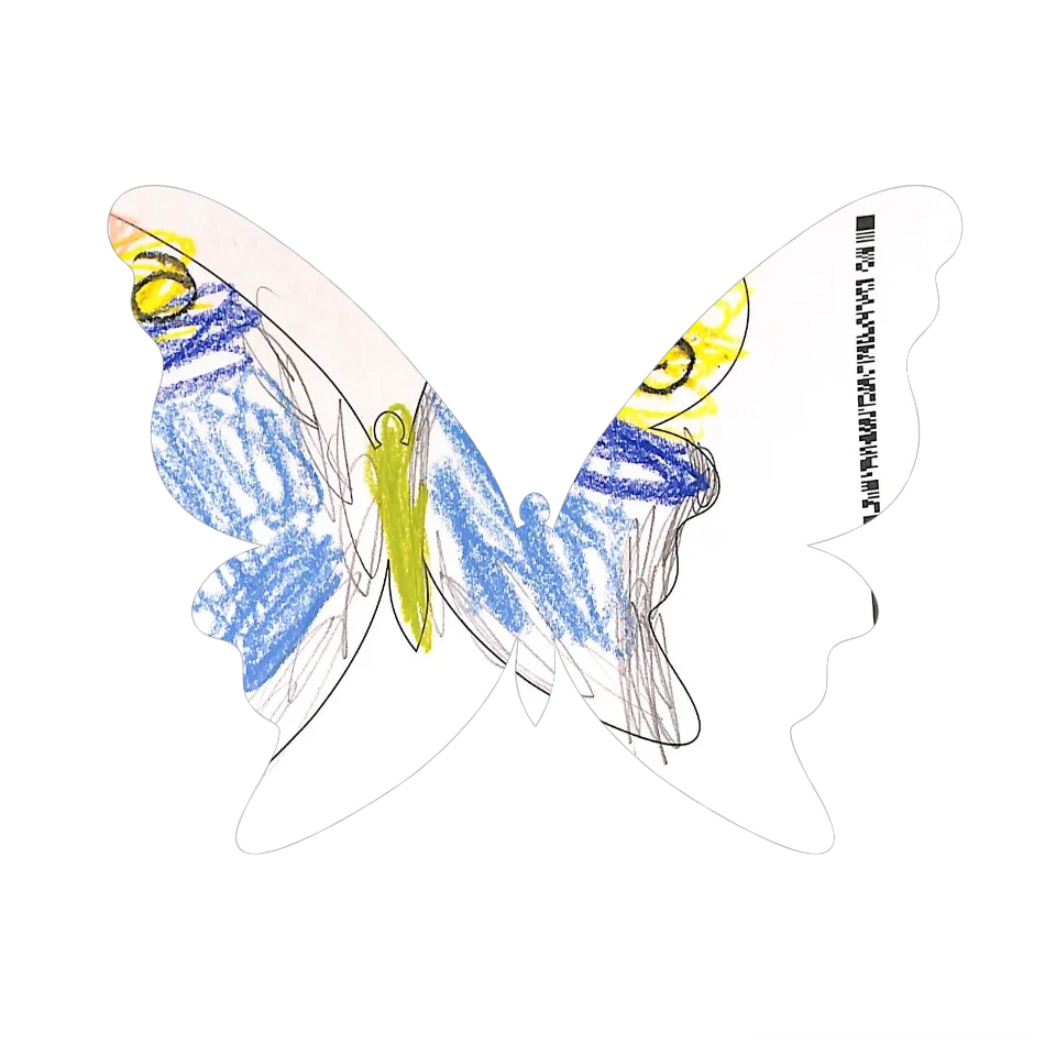 Original Butterfly Image