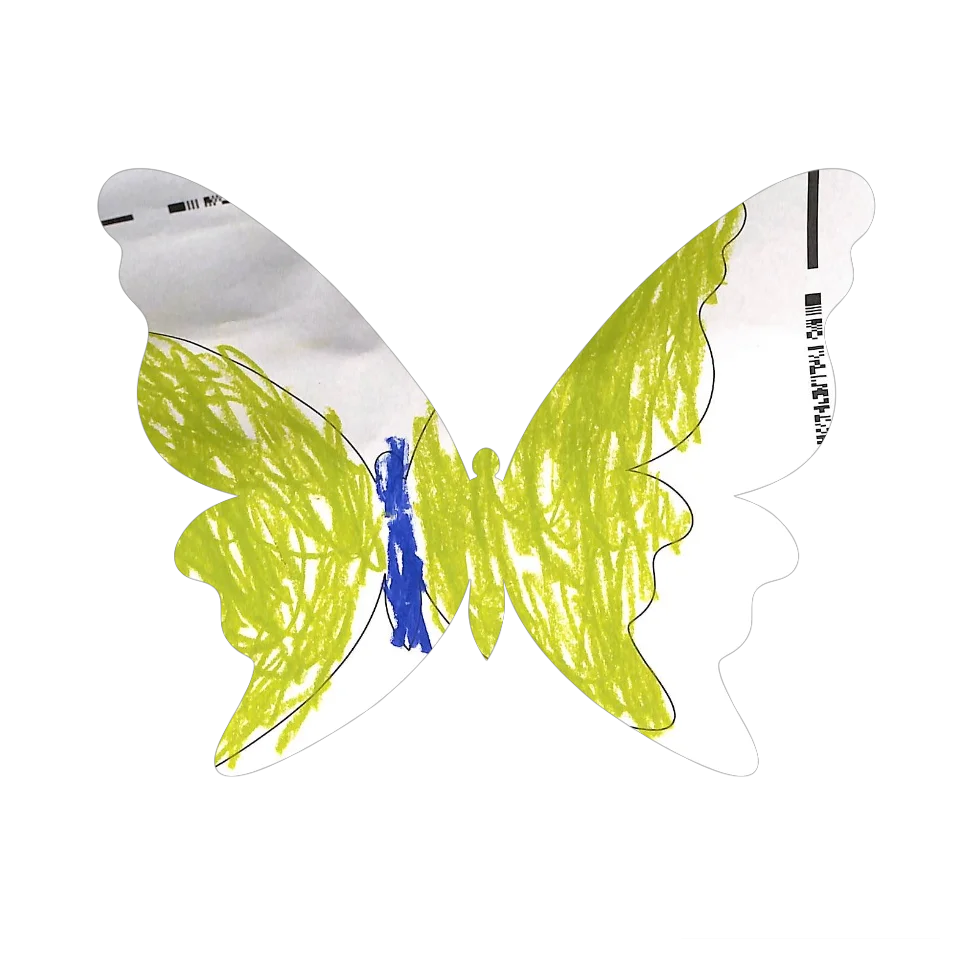 Original Butterfly Image