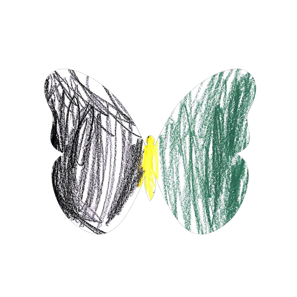 Original Butterfly Image