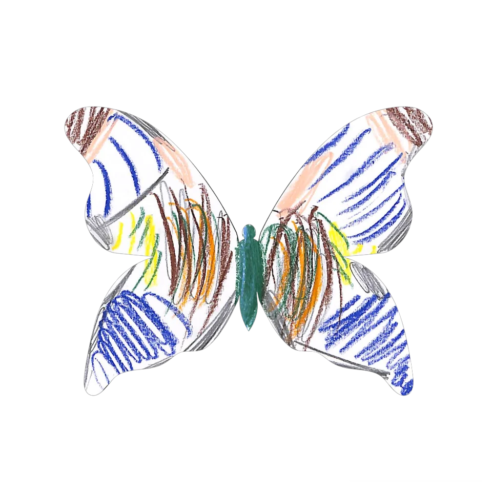 Original Butterfly Image