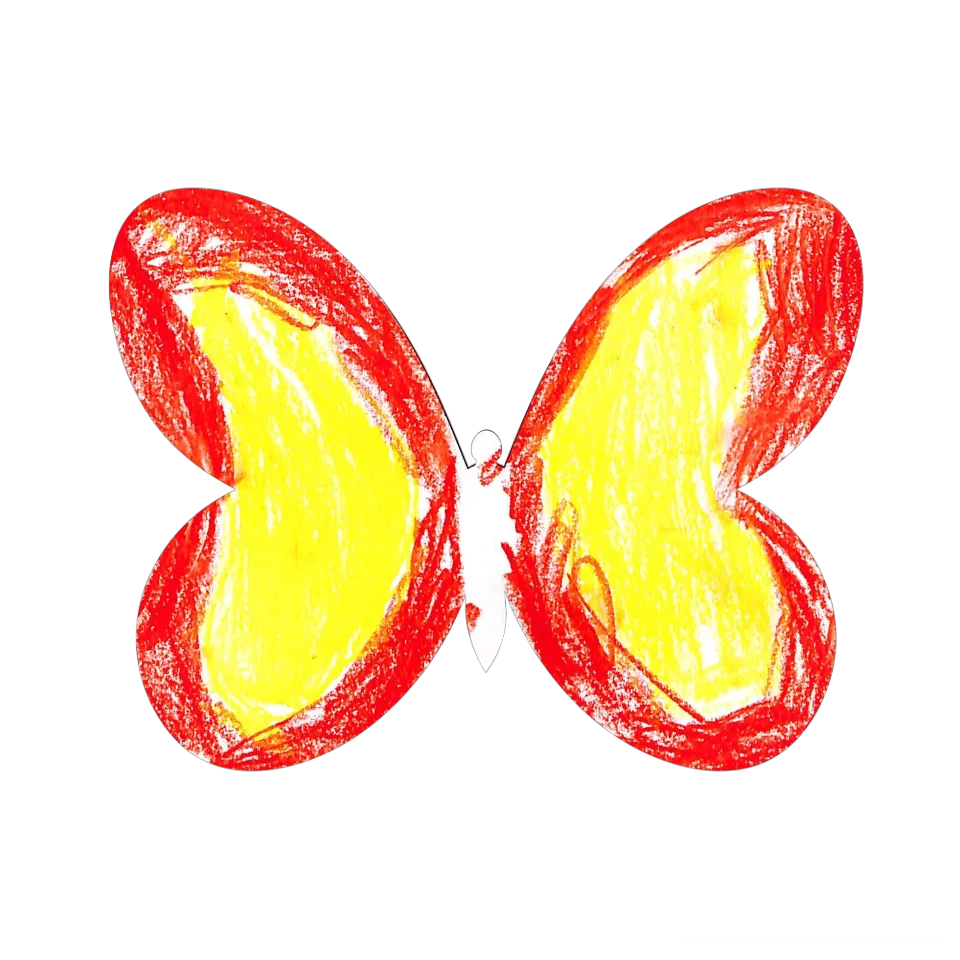 Original Butterfly Image