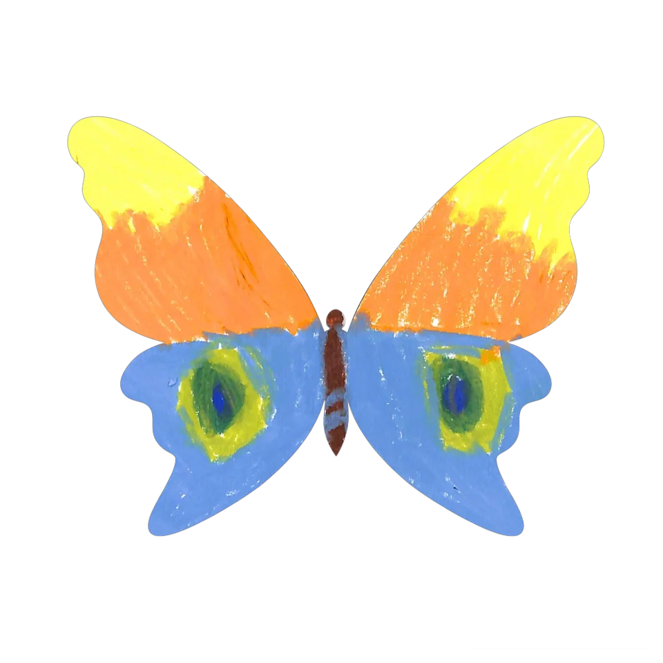 Original Butterfly Image