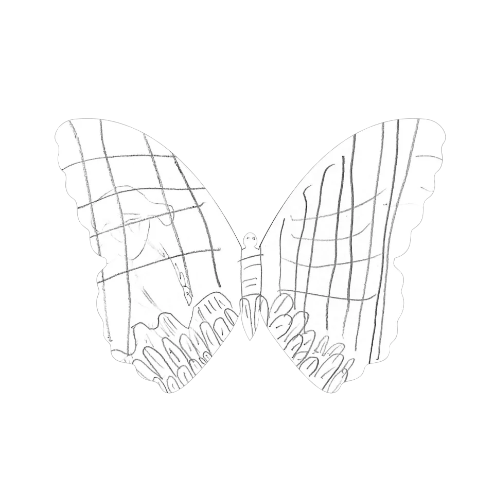 Original Butterfly Image