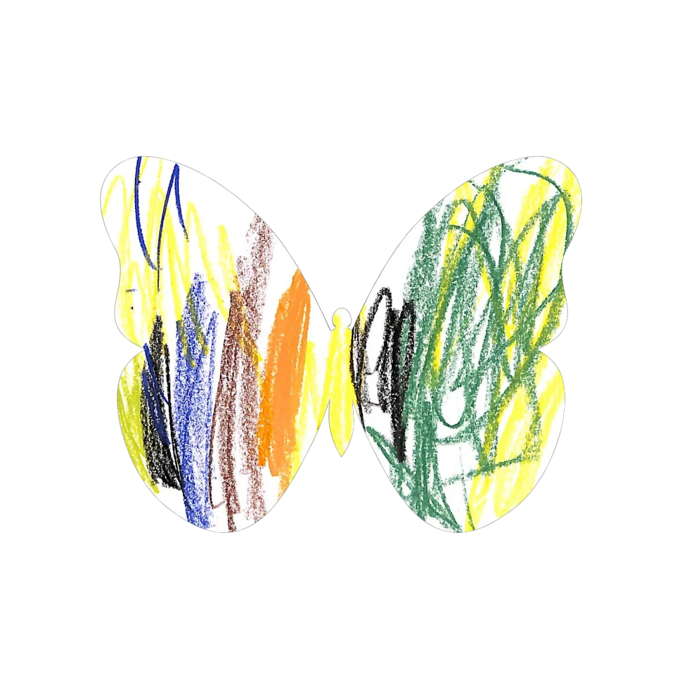 Original Butterfly Image