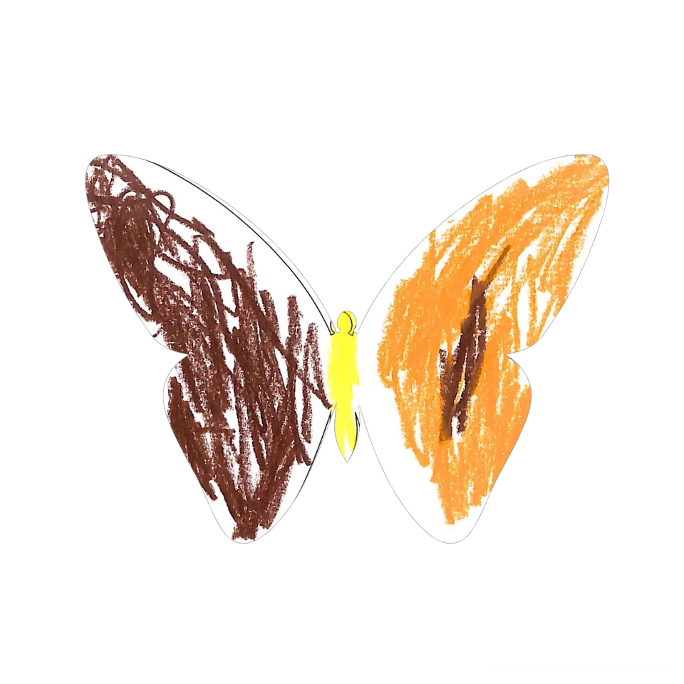 Original Butterfly Image