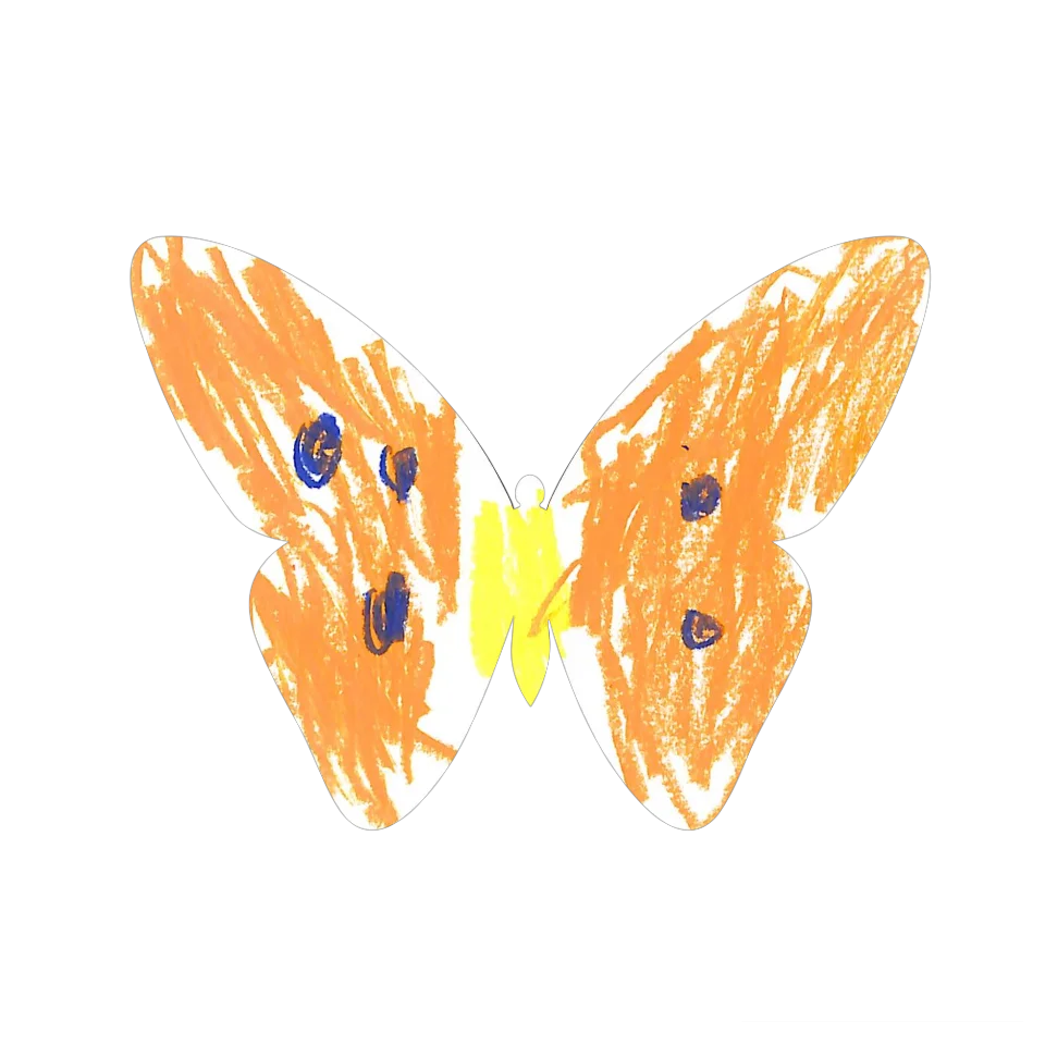 Original Butterfly Image