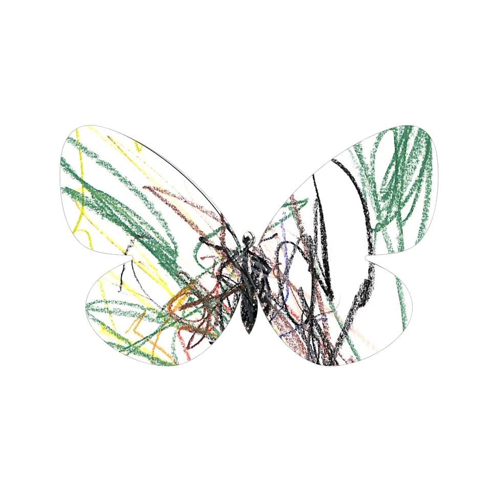 Original Butterfly Image
