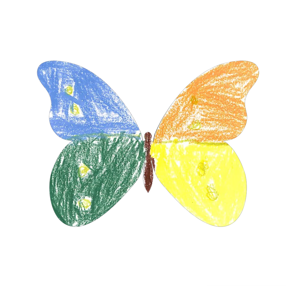 Original Butterfly Image