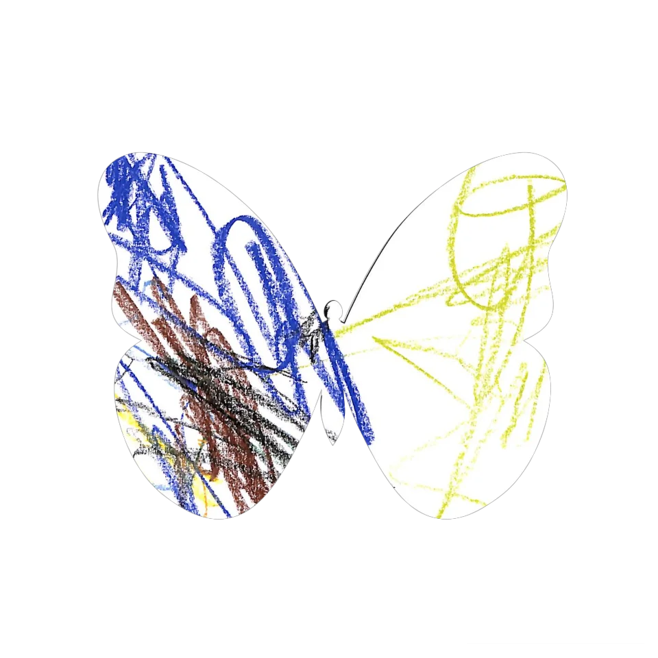 Original Butterfly Image