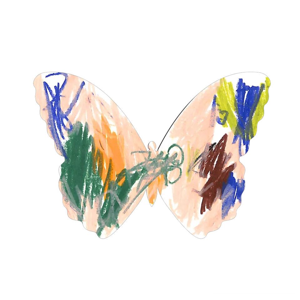 Original Butterfly Image