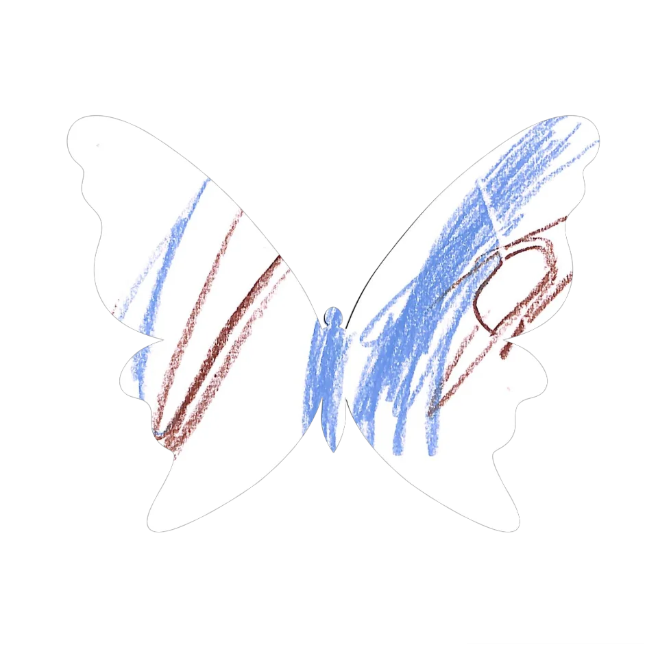 Original Butterfly Image