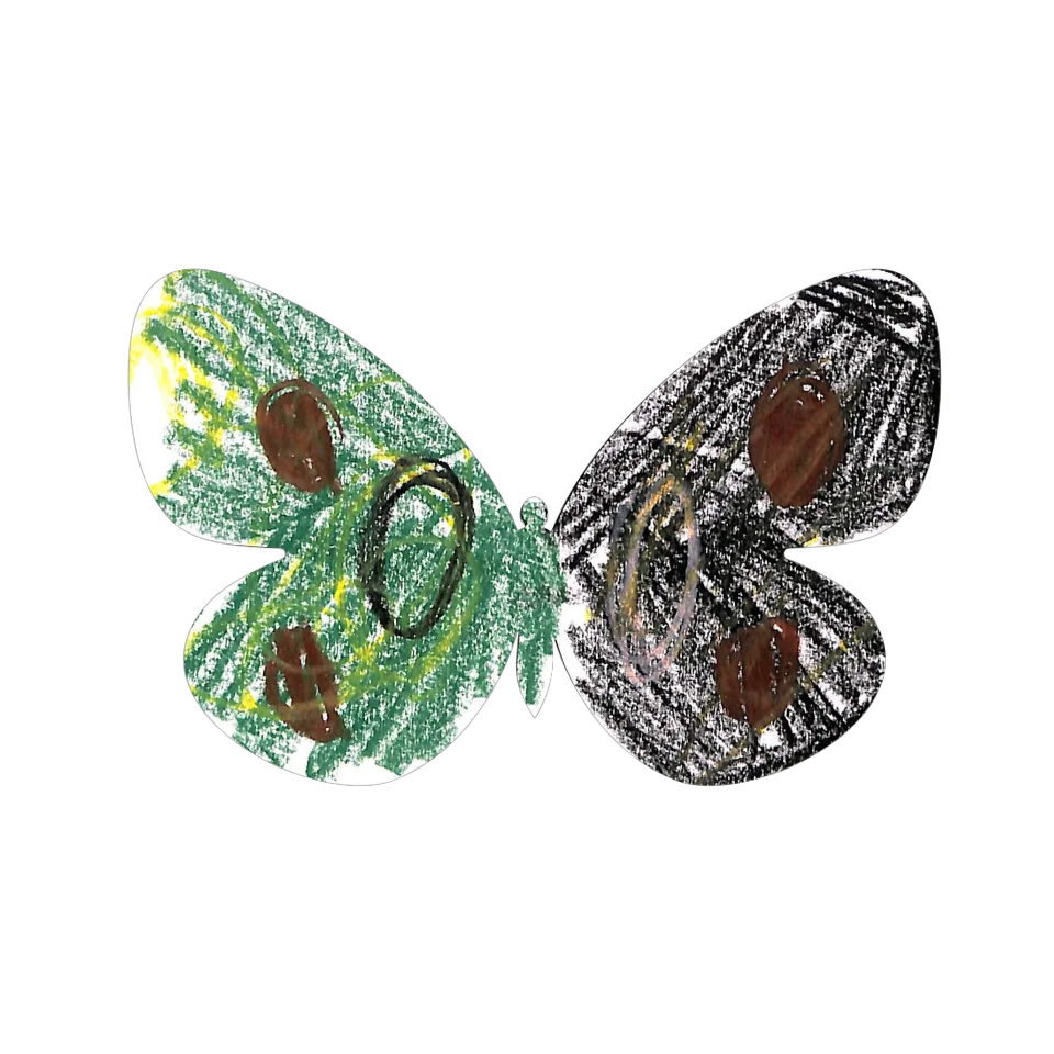 Original Butterfly Image