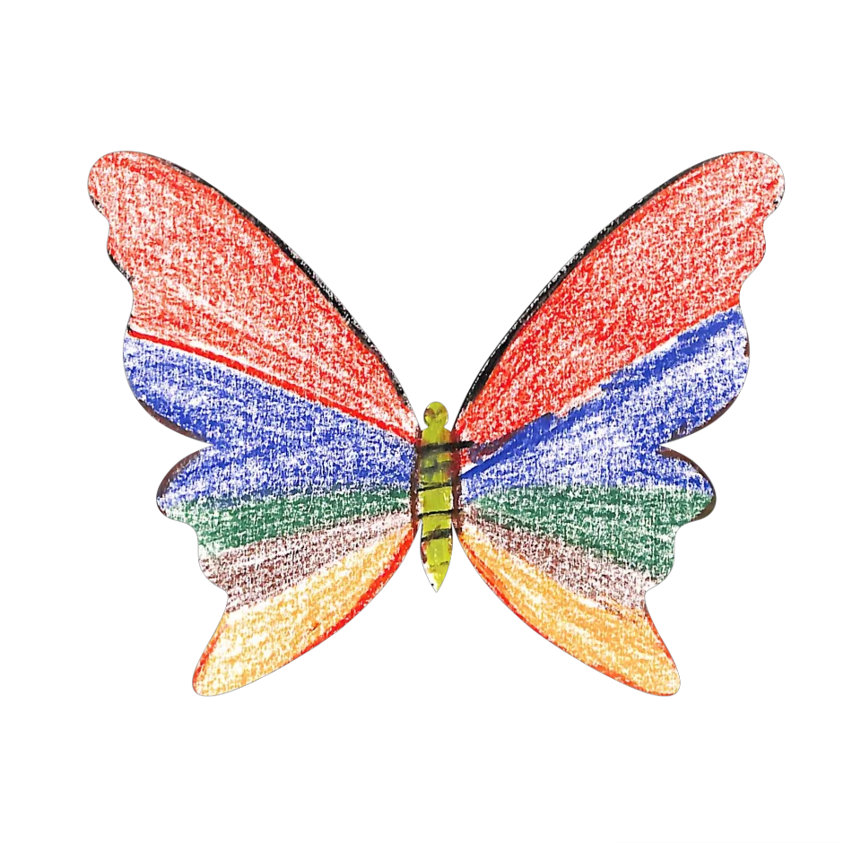 Original Butterfly Image