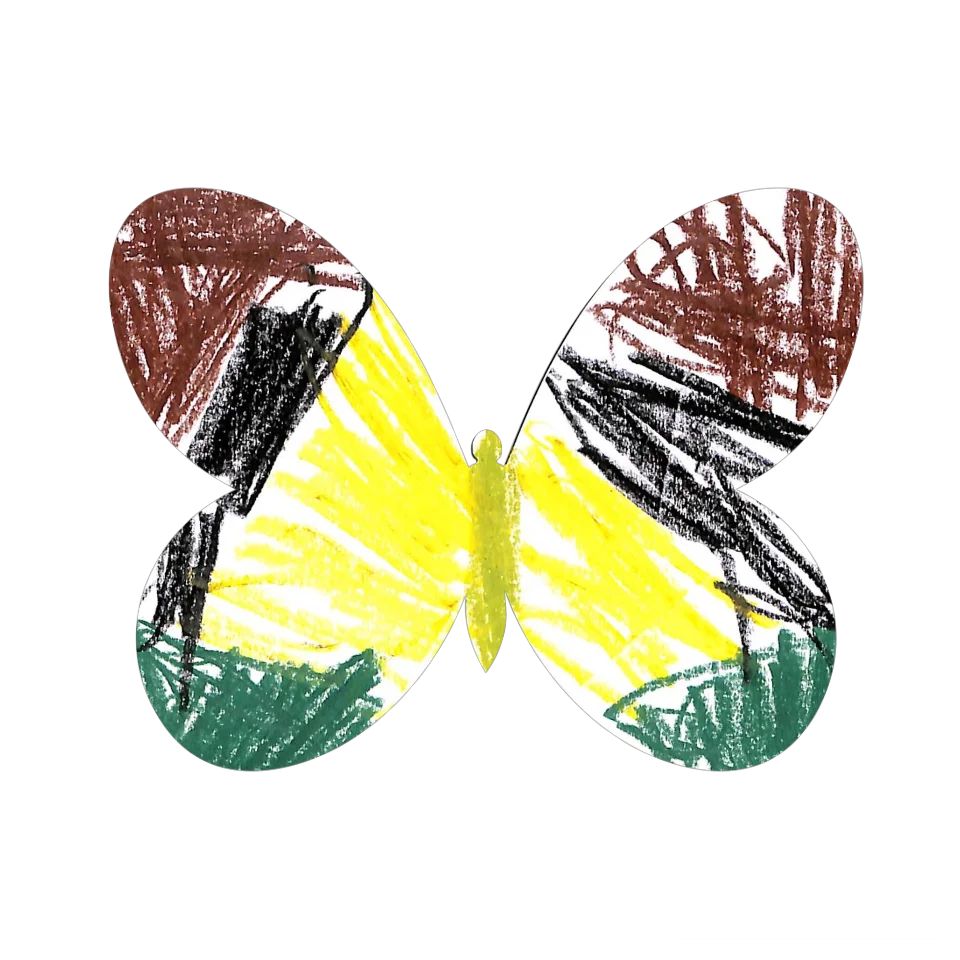 Original Butterfly Image