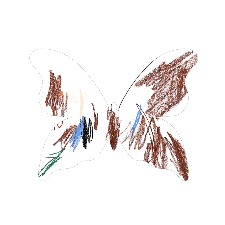 Original Butterfly Image