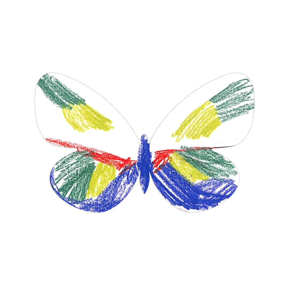 Original Butterfly Image