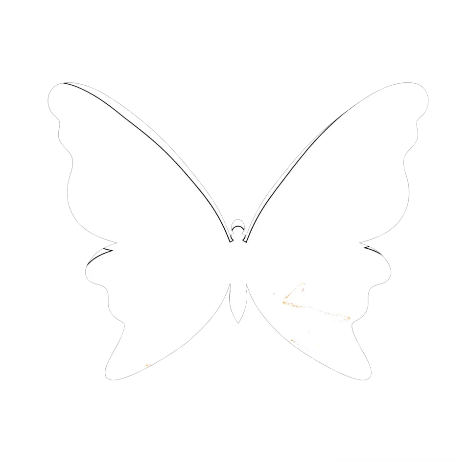 Original Butterfly Image