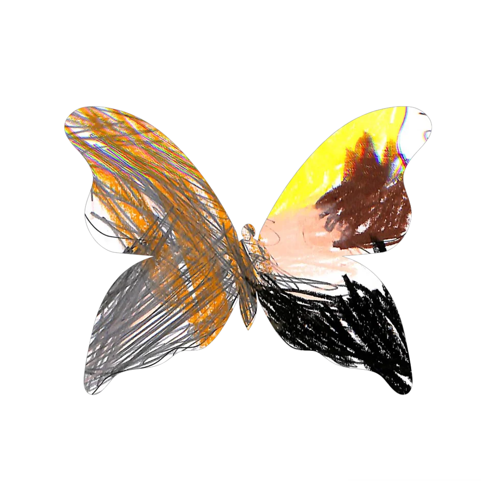 Original Butterfly Image