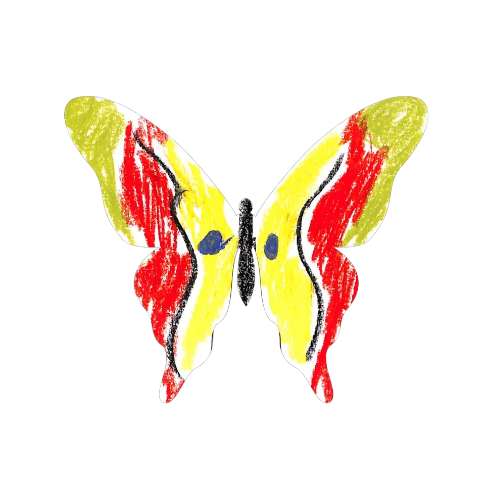Original Butterfly Image