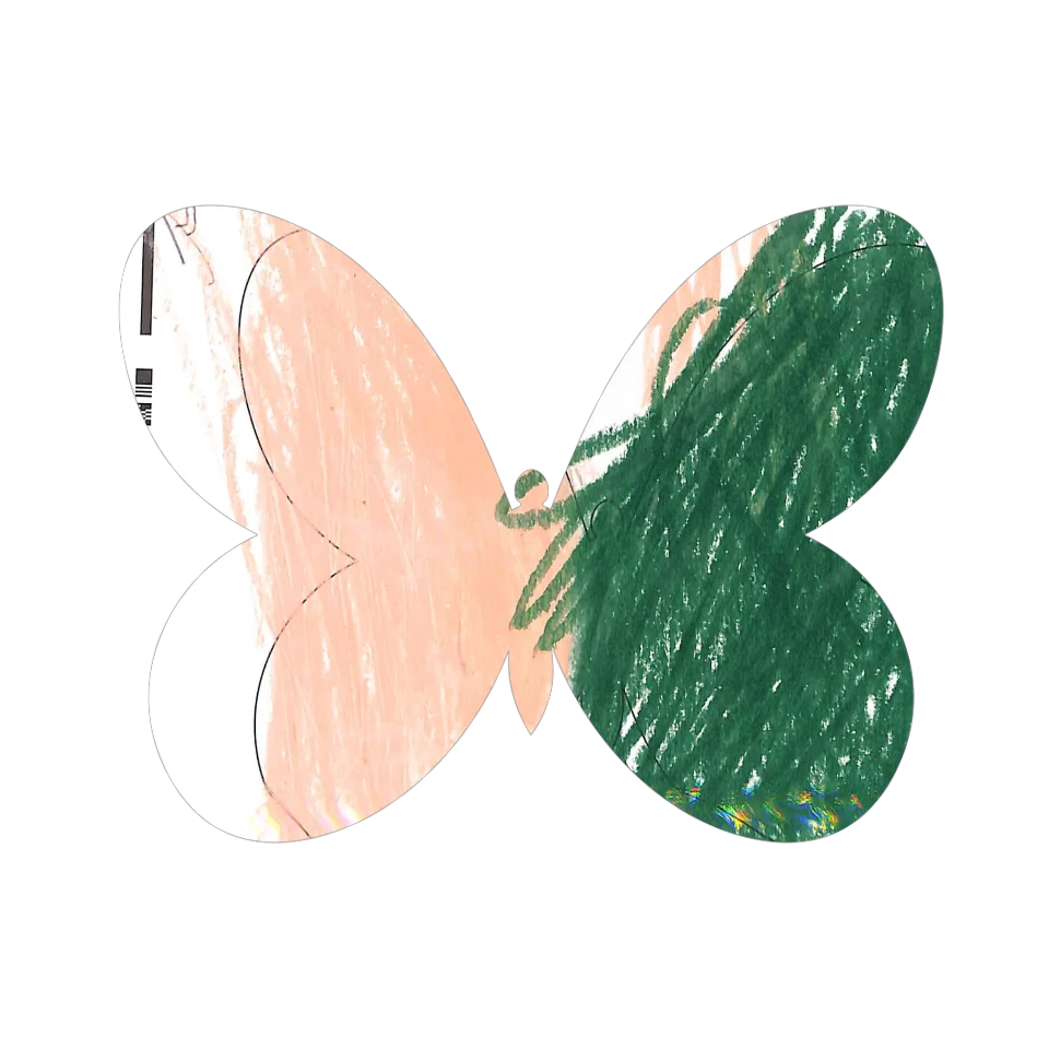 Original Butterfly Image