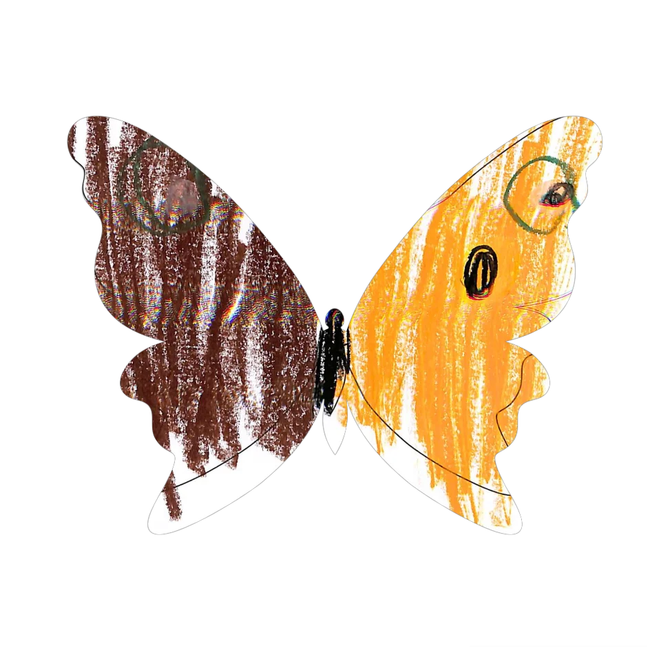 Original Butterfly Image