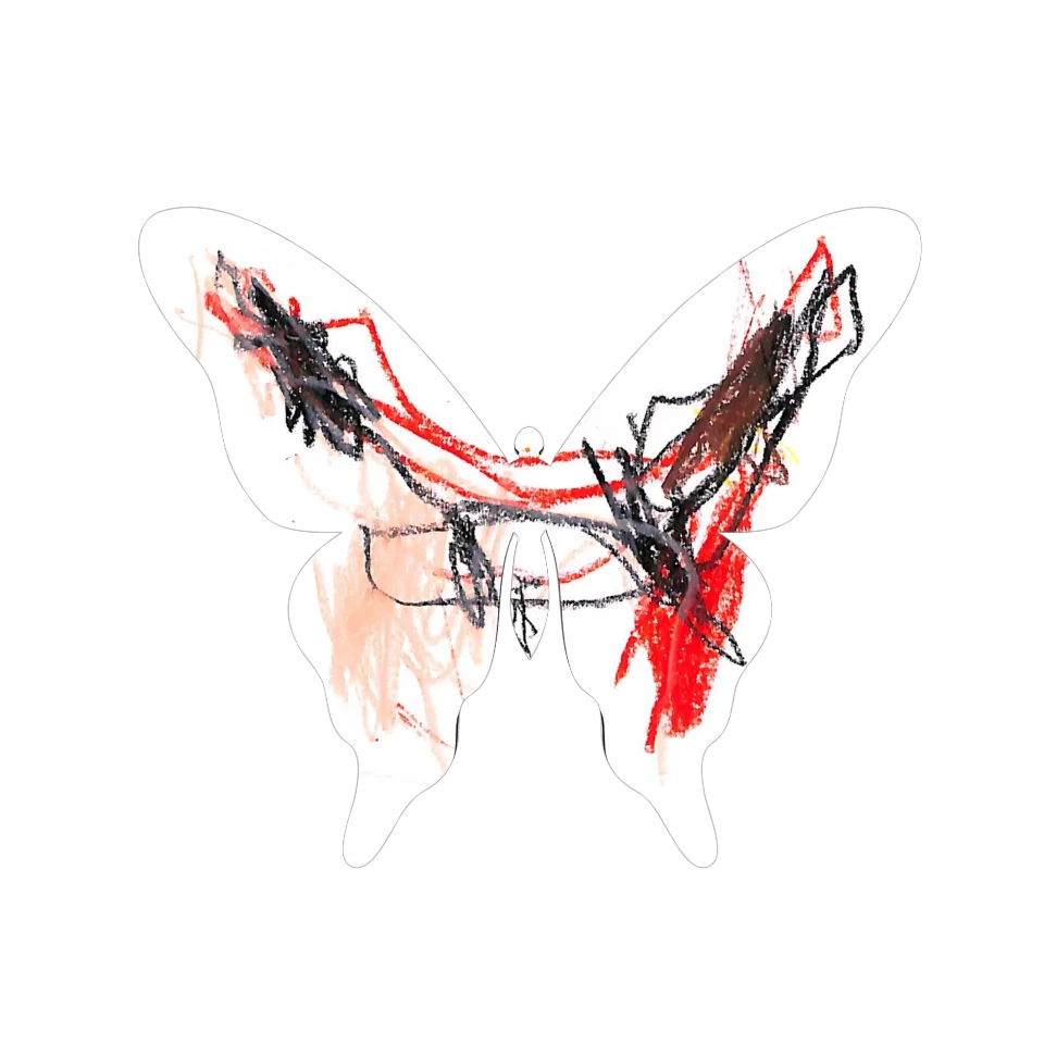 Original Butterfly Image