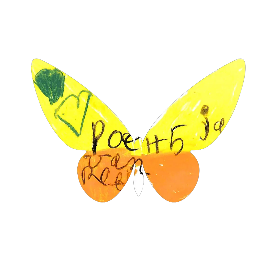 Original Butterfly Image